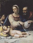 The Madonna with the veil Sebastiano del Piombo